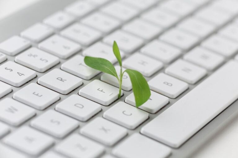 clavier d'ordinateur avec plante qui pousse dessus